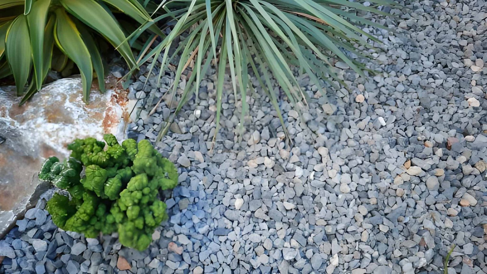 Crushed basalt used in landscaping