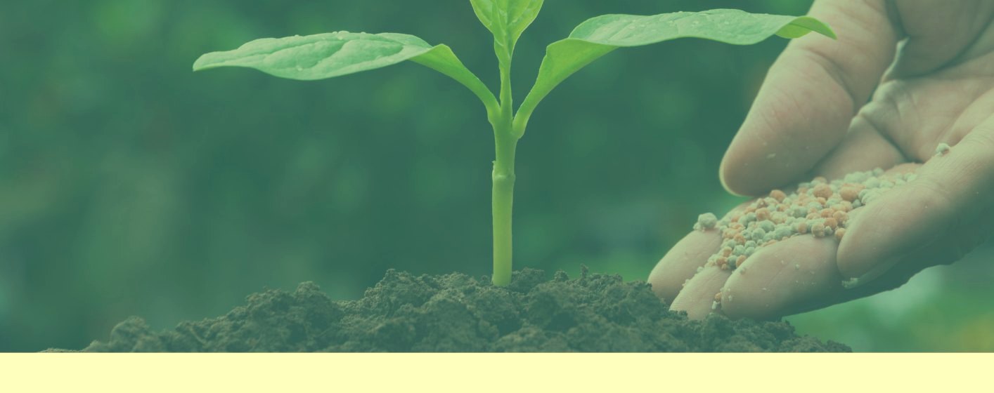 Pure 45 fertilizer for plant growth